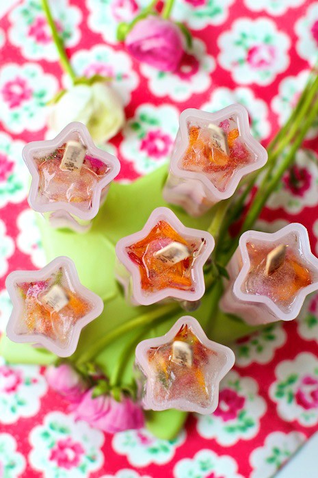 Flower-Popsicles-Marla-Meridith-Photography-IMG_3373