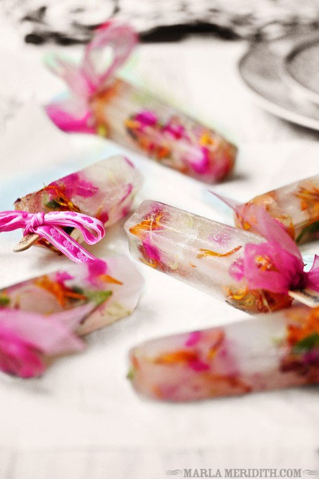 Flower-Popsicles-Marla-Meridith-Photography-IMG_3445.1