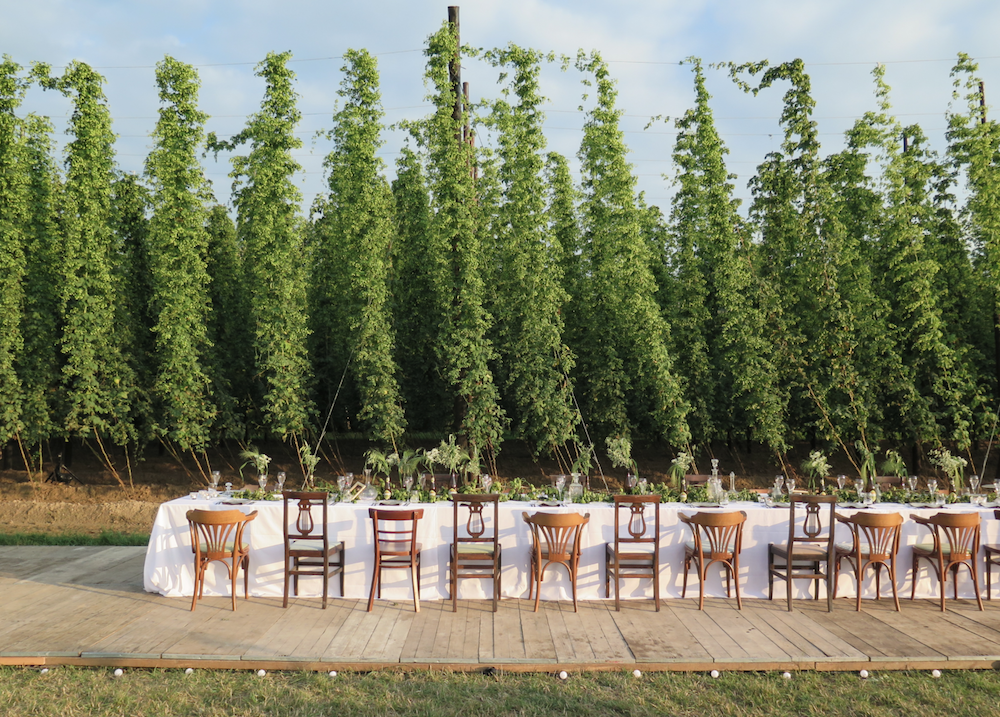 Bru_ParelendeTafels15-032