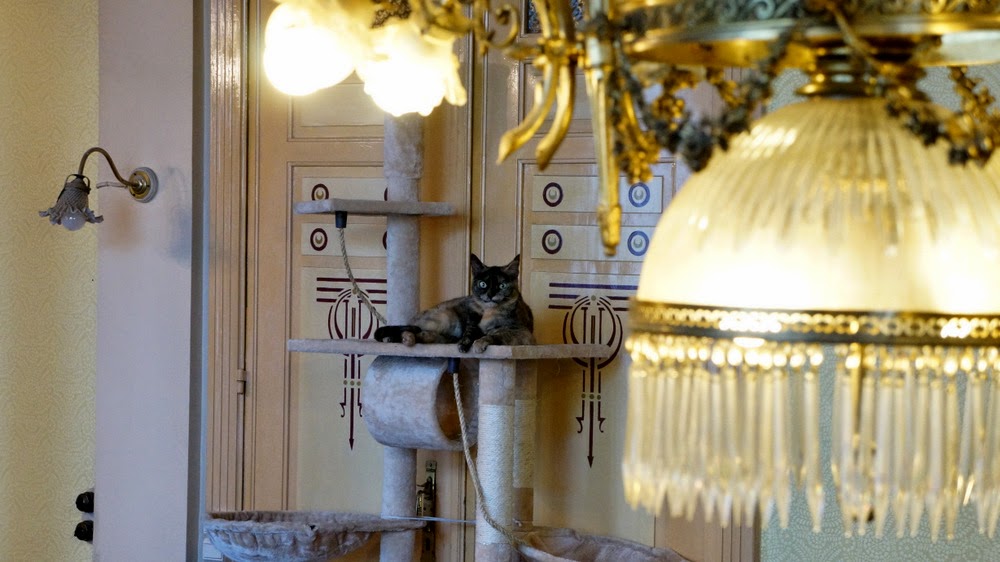 DSC03184-2
