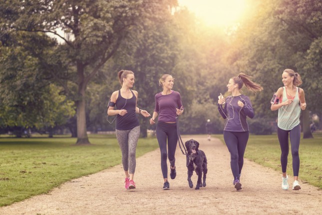 istock_000073983491_medium-645x430