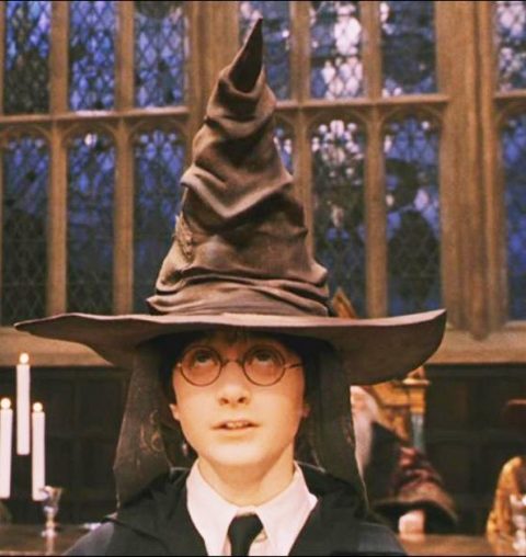 Deze Harry Potter bruisbal onthult in welk Zweinstein huis je thuishoort