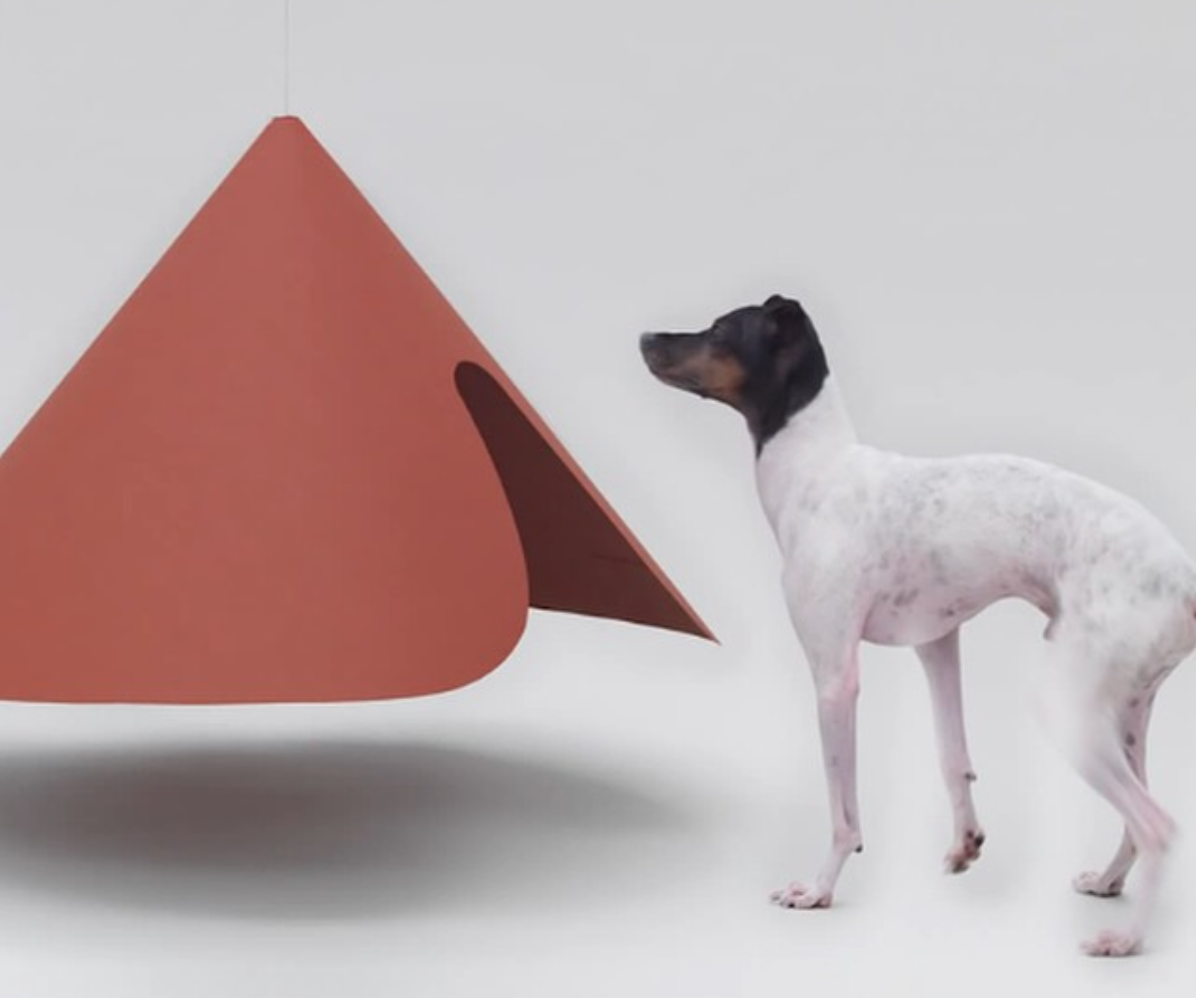 hondenhokken dogchitecture honden