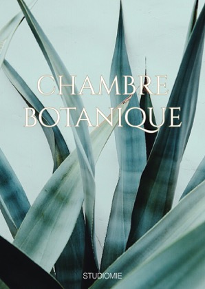 Studiomie, chambre botanique, plantenshop, workshops, Gent, Mieke De Maeyer, agenda