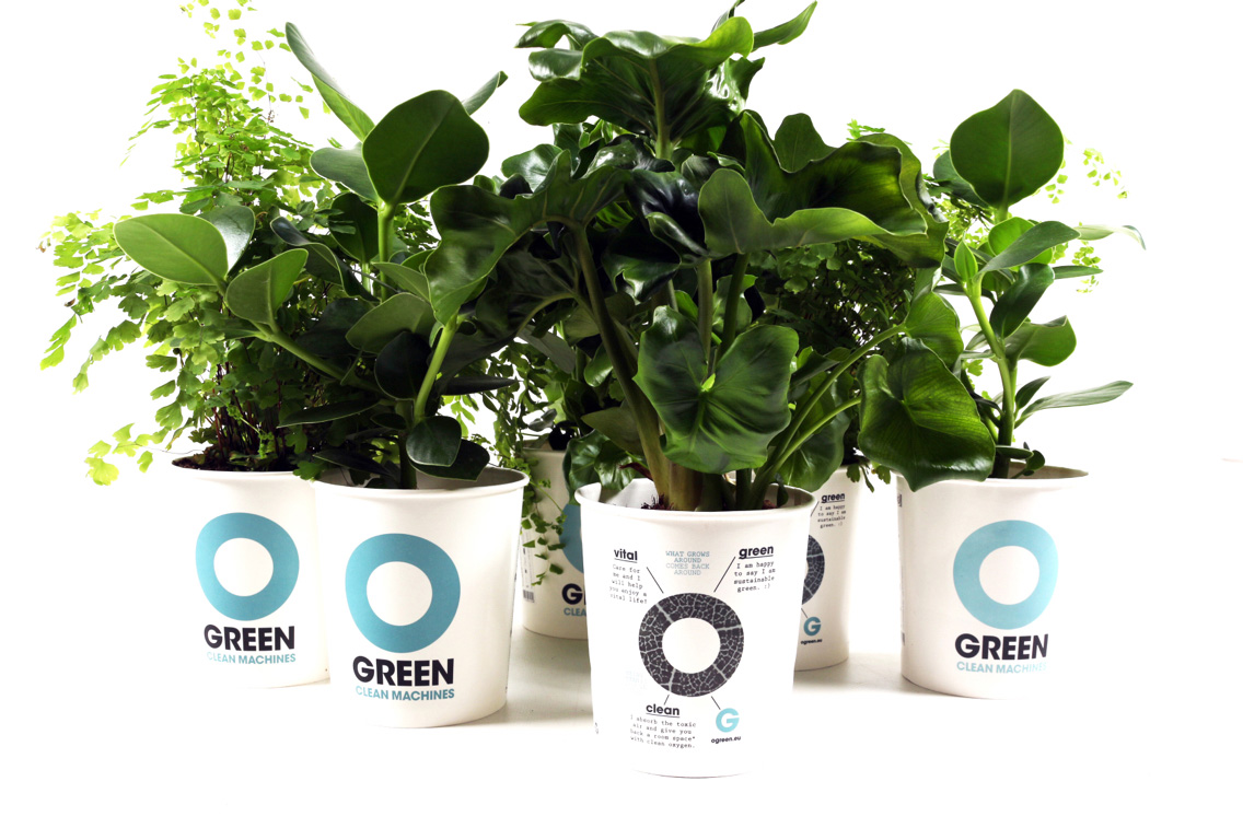 O Green luchtzuiverende planten
