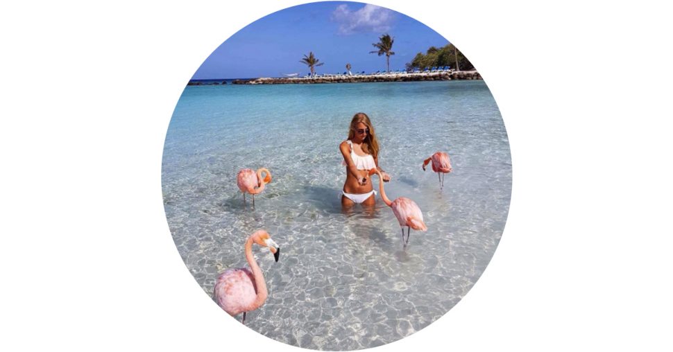Op dit tropische eiland kan je zwemmen tussen de flamingo’s