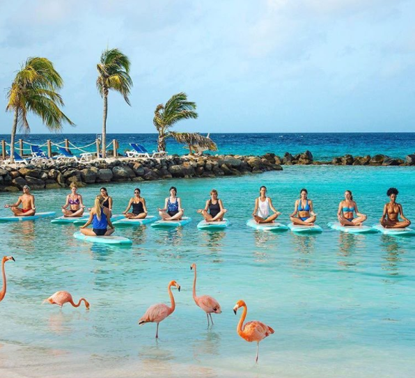 tropisch eiland zwemmen flamingo's Caraïben instagram goals Aruba renaissance resort