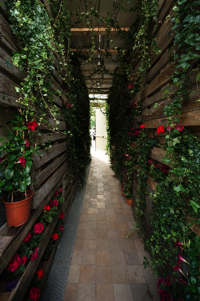 strongbow-secret-garden