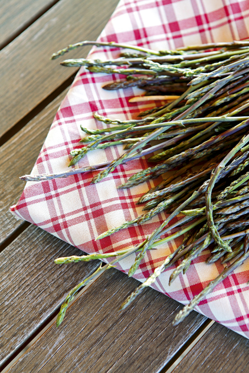 slovenia slowfood citytrip