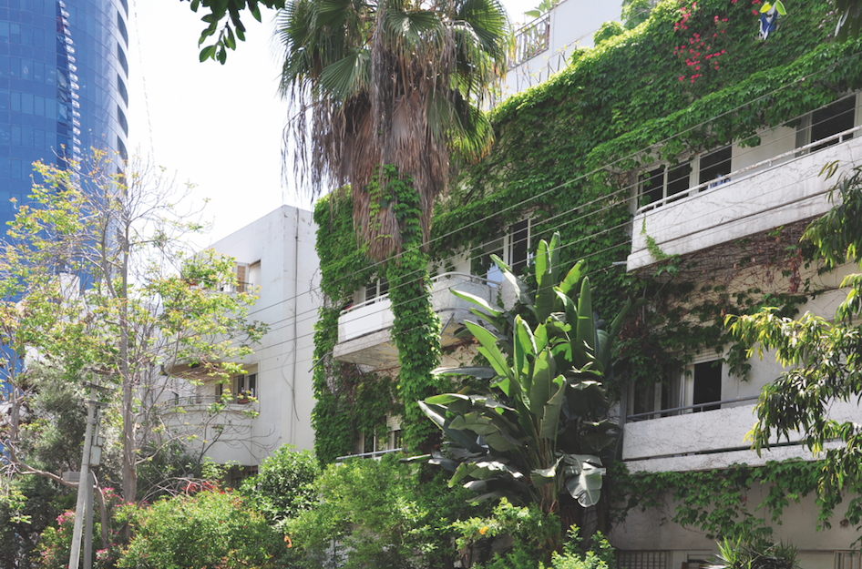 Tel Aviv,Bauhaus,architectuur,adressen,hotspots,citytrip