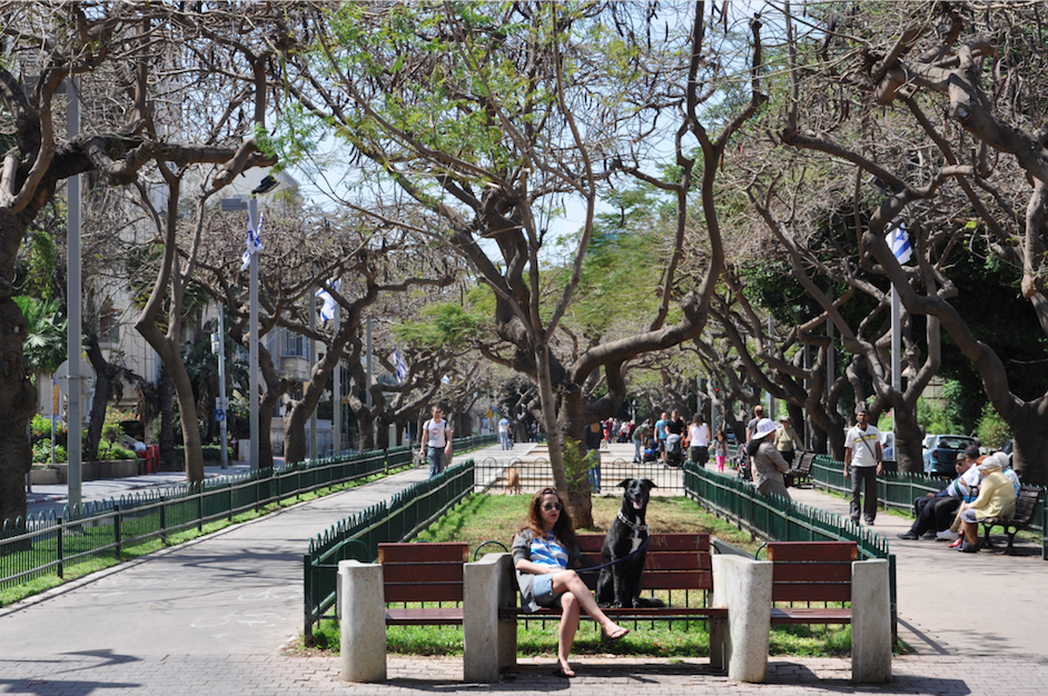 Tel Aviv,Rothschild Boulevard,park,kiosk,hotspots,citytrip