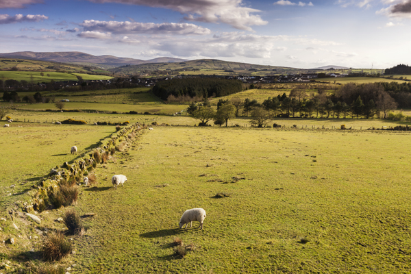 veiligste landen top 10 ierland