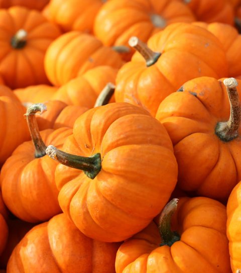 Deze beautyproducten met pompoen brengen je helemaal in de herfstsfeer