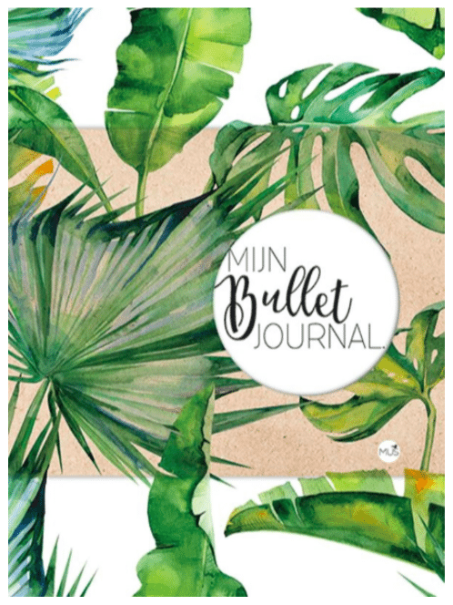 bullet_journal_bujo_diy_agenda_tips_to_do