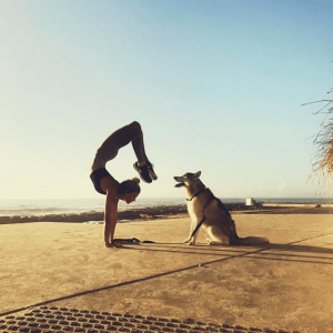 sjana elise earp instagram fitspiration yoga inspiratie fitso fitspiratie hond