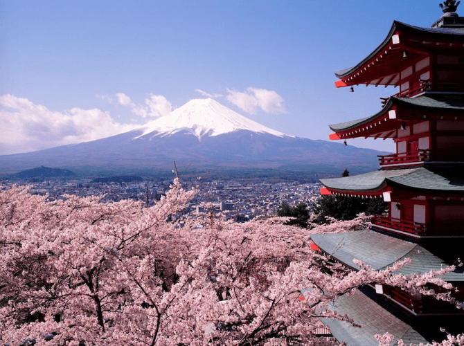 roze hotspots reizen Japan