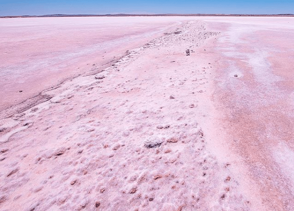 roze hotspots reizen