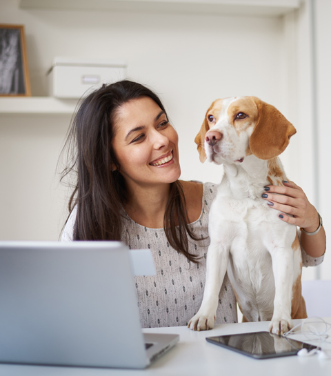 6 tips om je hond mee te nemen naar het werk