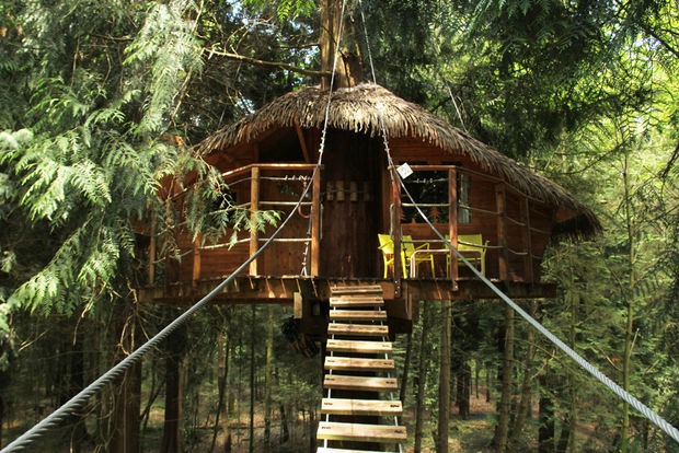 hotel, vakantie, reis, zomer, boomhut, treehouse, origineel, thailand, washington, firenze, australie