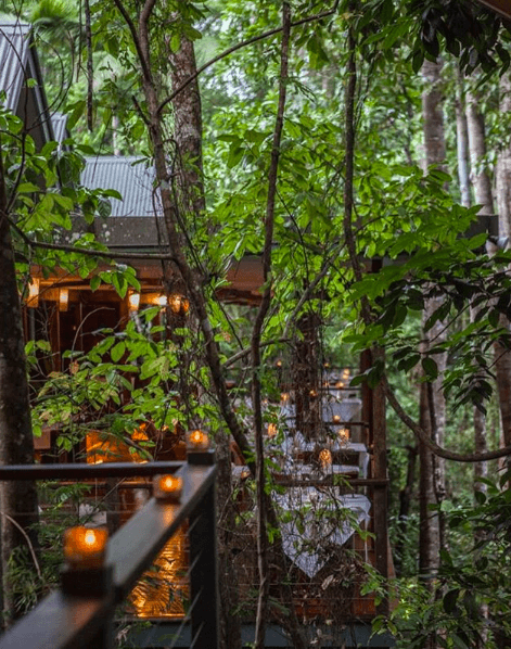 hotel, vakantie, reis, zomer, boomhut, treehouse, origineel, thailand, washington, firenze, australie