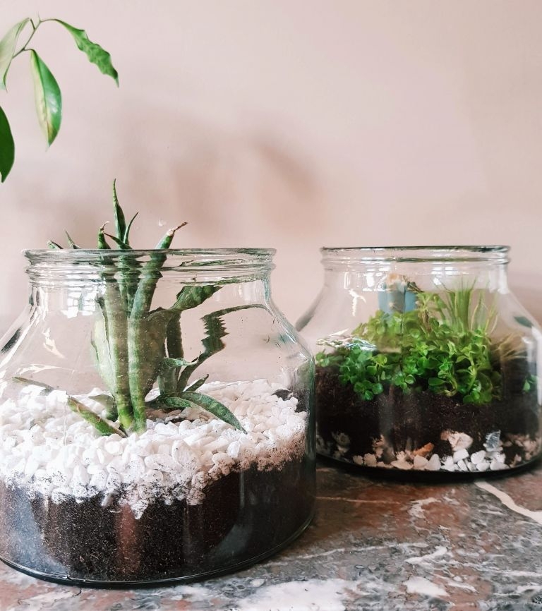 DIY in vijf stappen maak je jouw eigen planten terrarium