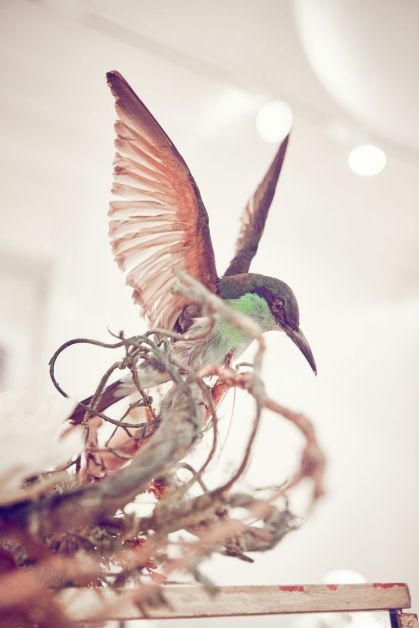 natan, couture, dit is belgisch,