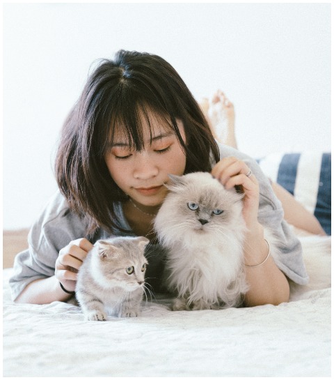 sociaal netwerk voor dieren