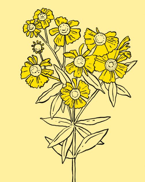 bloemen horoscoop bloomon