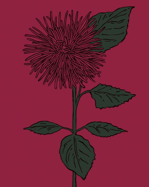 bloemen horoscoop bloomon