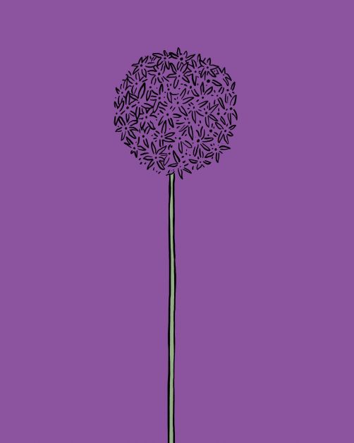 bloemen horoscoop bloomon