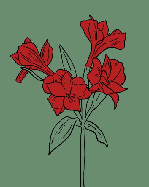 bloemen horoscoop bloomon