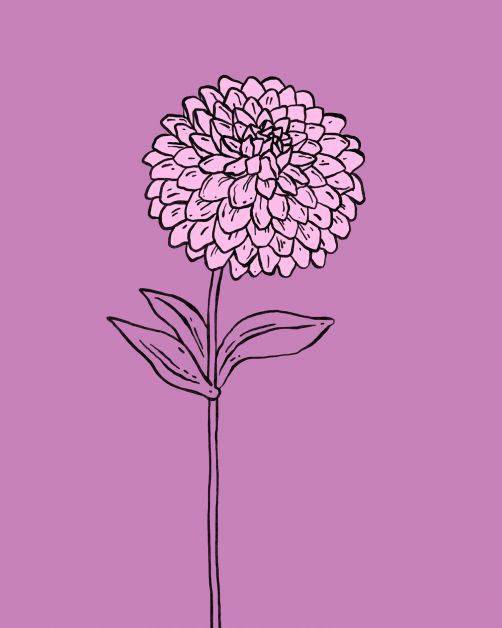 bloemen horoscoop bloomon