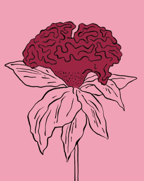bloemen horoscoop bloomon