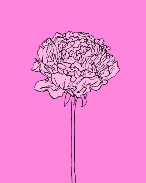 bloemen horoscoop bloomon