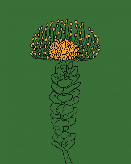 bloemen horoscoop bloomon