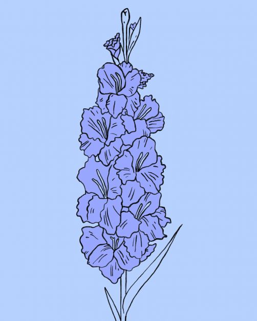 bloemen horoscoop bloomon
