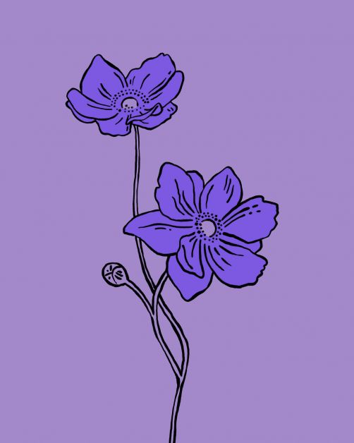 bloemen horoscoop bloomon