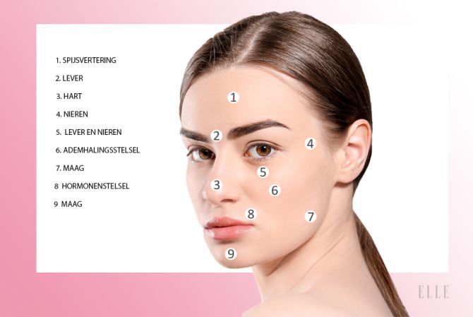 acne puistjes oorzaak face mapping