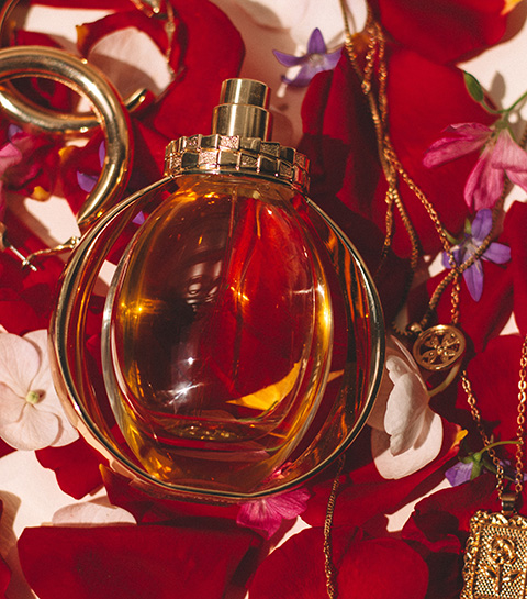 Musthave: dit is het perfecte parfum volgens jouw sterrenbeeld