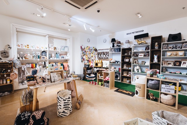 ckdn concept knokke hotspots