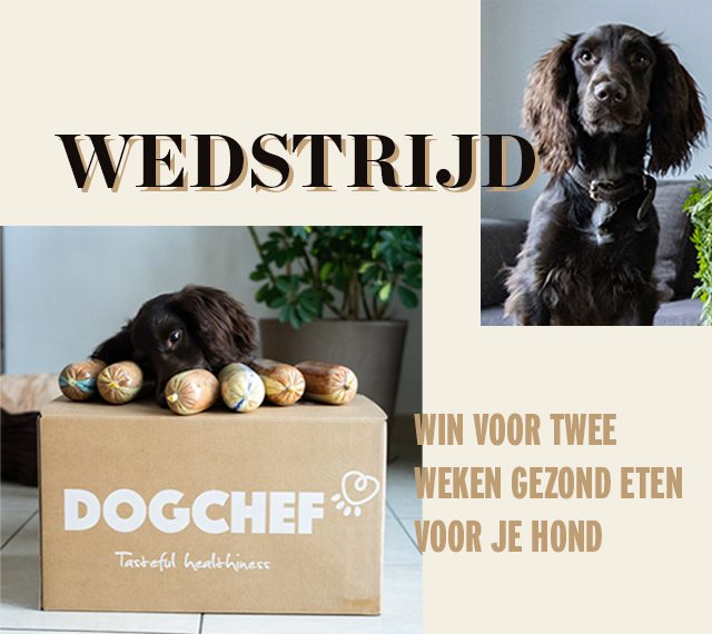 Wedstrijd Elle eten x Dog Chef