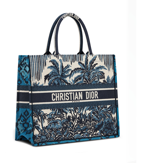 Dior book tote