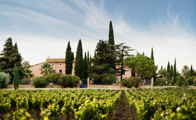 oranje wijn orange gold