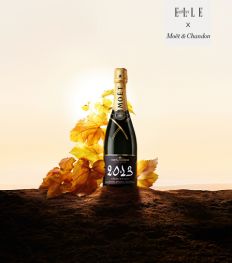 Moët & Chandon Grand Vintage 2013, het allerbeste van een uitzonderlijk wijnjaar