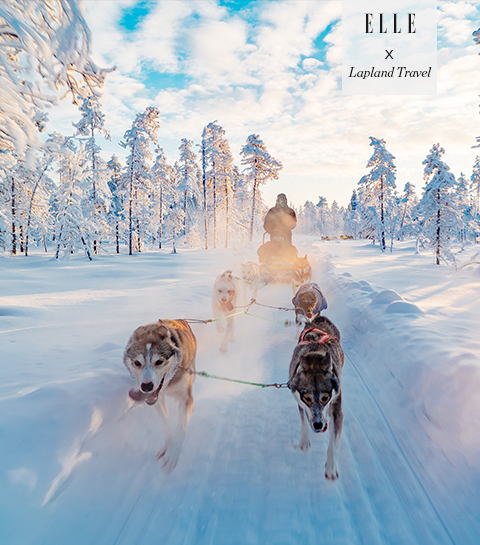 Lapland, ver van het massatoerisme : winterreis naar het land van de Kerstman