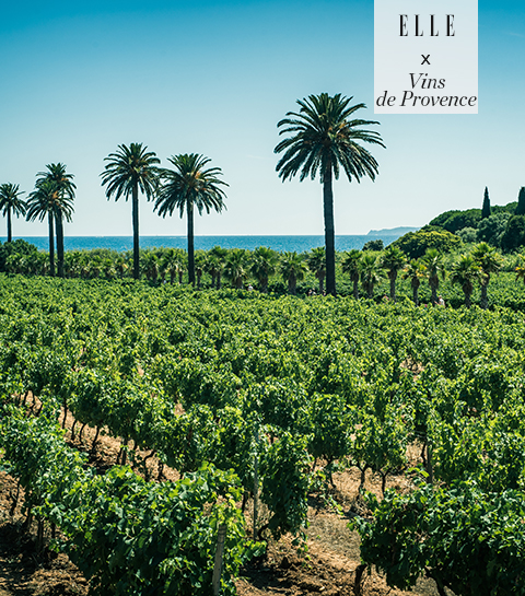 Wijntoerisme en “green” rosés: de wijnroute van de Provence