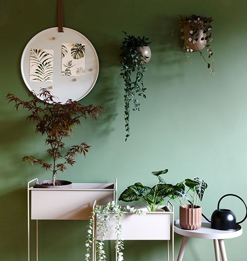 Shop the look: een stijlvolle jungle hoek voor plantenliefhebbers