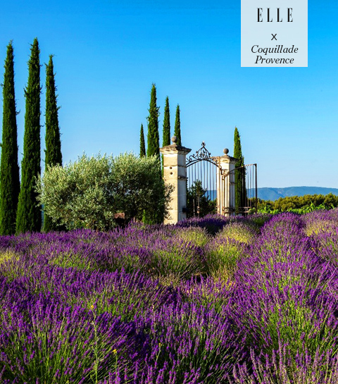 Vakantie: waar logeer jij deze zomer in hartje Provence?