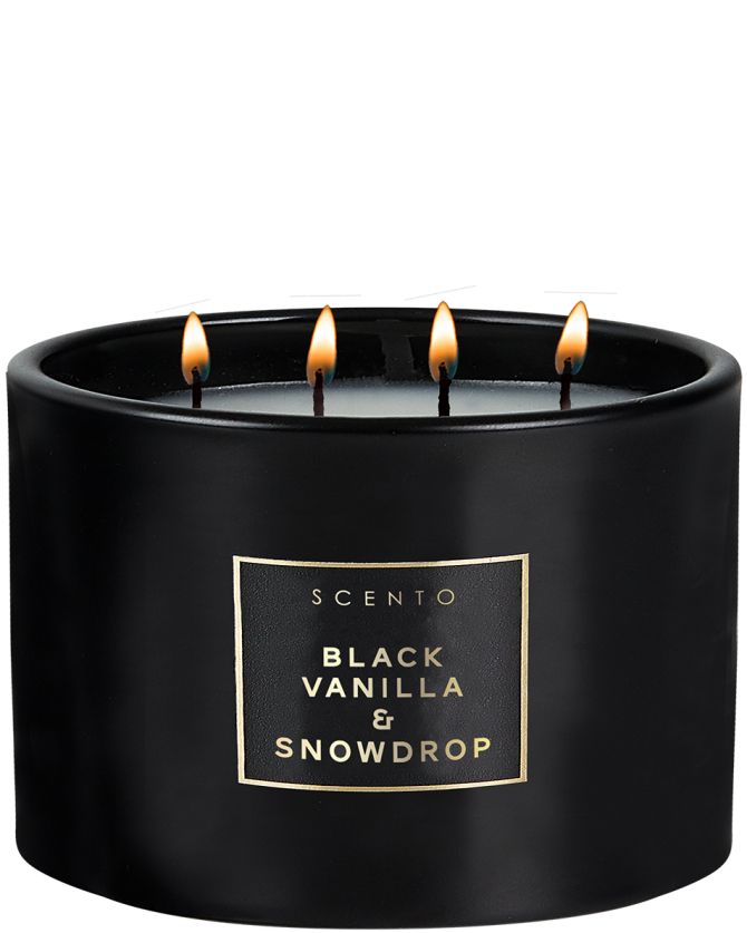 Black Vanilla & Snowdrop, Scento via ICI Paris XL