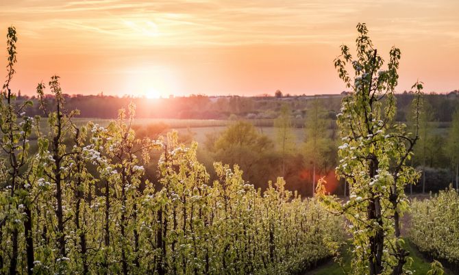 Haspengouw campervakantie Limburg